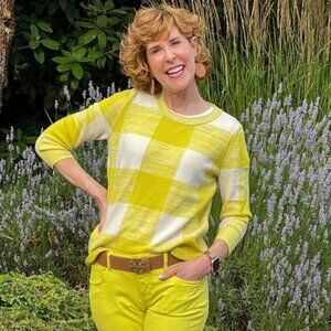 Cabi 6236 Checkerboard Pullover Spring 2023 Small EUC